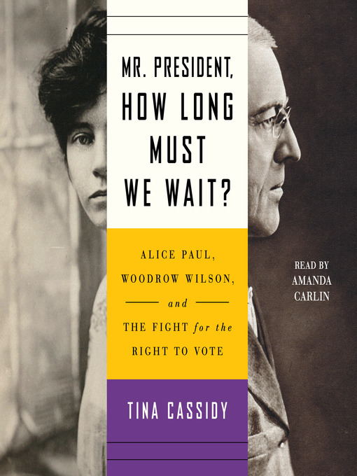 Title details for Mr. President, How Long Must We Wait? by Tina Cassidy - Available